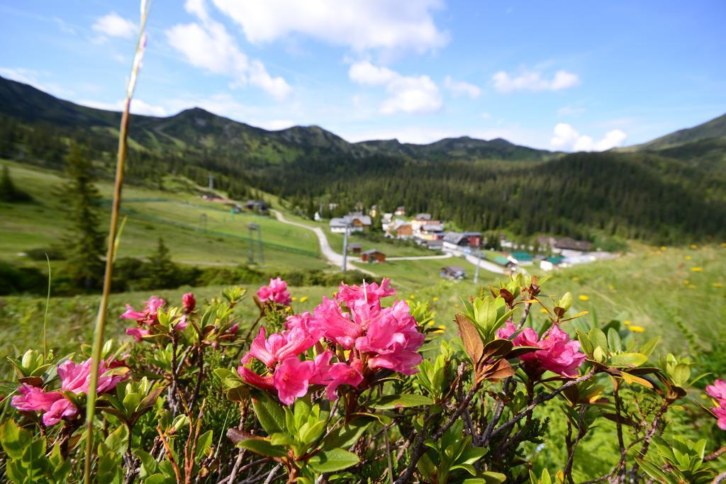 Alpengasthof Grimmingblick Hotel Planneralm Buitenkant foto