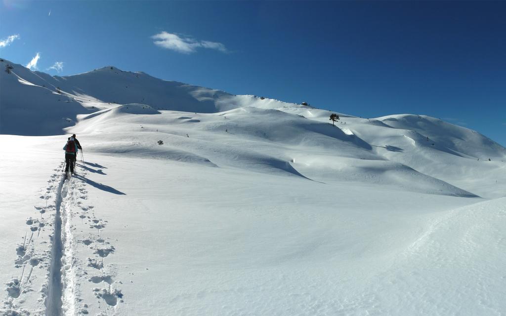 Alpengasthof Grimmingblick Hotel Planneralm Buitenkant foto